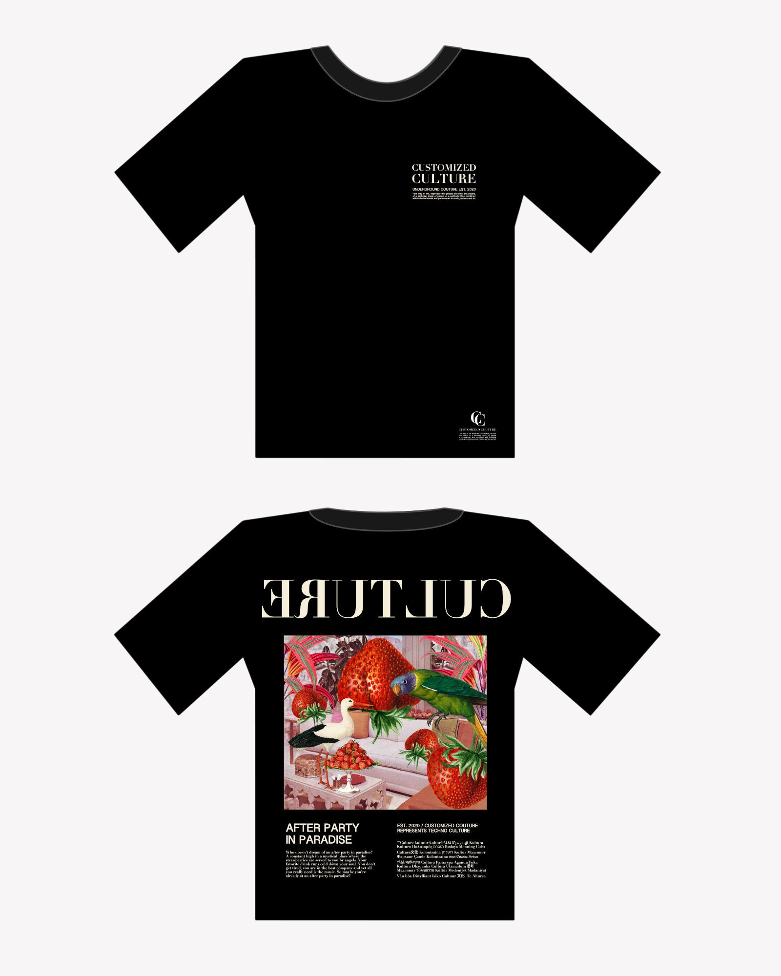 Afterparty in Paradise 1.0 T-Shirt